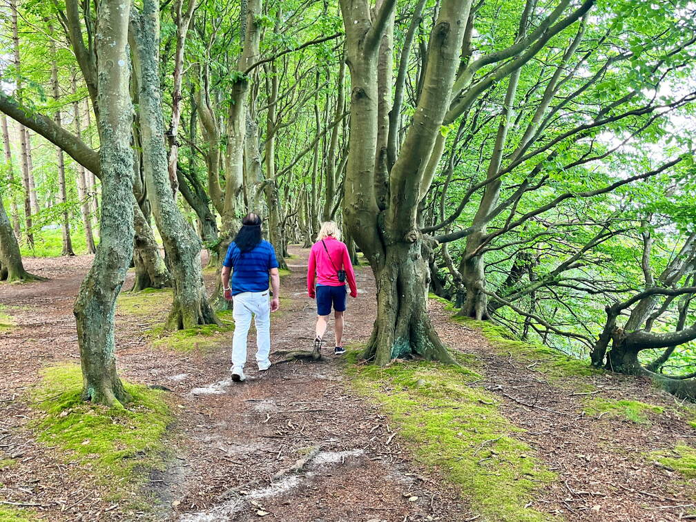 24-07-01 11-49-23 0062